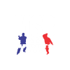 LOGO Msb